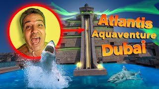 Aquaventure Water Park Dubai Leap of Faith Water Slide 30 m amp 60 kmh [upl. by Fowler]