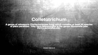 Medical vocabulary What does Colletotrichum mean [upl. by Mandel]