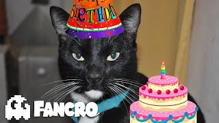 FELIZ CUMPLEAÑOS  Versión Gatuna [upl. by Len]