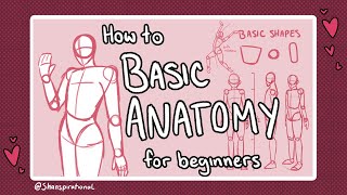 How to Draw Basic Anatomy [upl. by Charbonneau]