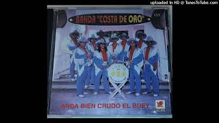 Banda Costa De Oro  Anda Bien Crudo El Buey [upl. by Drannek]