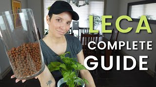 LECA FOR BEGINNERS  COMPLETE GUIDE What You Need How To Transfer Plants How To Care For Them [upl. by Raines]