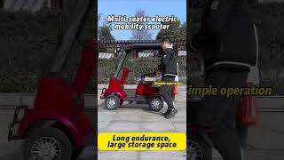 Elderly scooter fourwheeler minibus factory hot selling scooter fourwheel mobilityscooter [upl. by Krista]