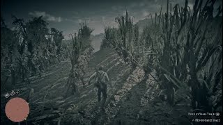 Red Dead Redemption 2 FerDeLance Location [upl. by Khai100]