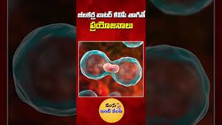 పరగడుపున జీలకర్ర వాటర్ కలిపి తాగితే ప్రయోజనాలు  Benefits Of Drinking With Cumin Water shorts [upl. by Elkin83]