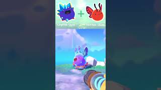 Every Hunter Slime Largo Combo Updated  Slime Rancher 2 Early Access [upl. by Arutnev]