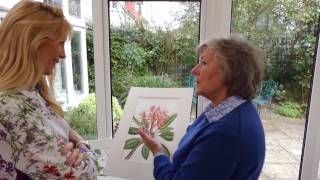 ARTIST FOCUS  CAROL HARTLEY botanical artist [upl. by Ahsiel]