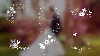 7 Wedding Ornaments With Flowers Stock Motion Graphics [upl. by Shana837]