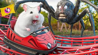 🐹 Hamster in Roller Coaster Maelstrom with Spider [upl. by Annek]