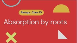 Absorption by roots class 10 biology icse class10 absorptionbyroots [upl. by Rebmyt]