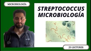 STREPTOCOCCUS PYOGENES AGALACTIAE DYSGALACTIAE VIRIDANS PNEUMONIAE  MICROBIOLOGÍA [upl. by Tremayne9]