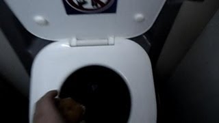 Insane Muffin Boeing Airplane Lavatory Toilet Flush Experiment [upl. by Erdnoid167]