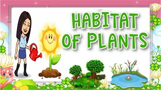 Habitat of Plants  Plants  Science  Kindergarten  Teacher Beth Class TV [upl. by Ikcin]