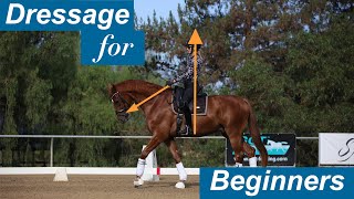 Dressage for Beginners [upl. by Elleivap640]