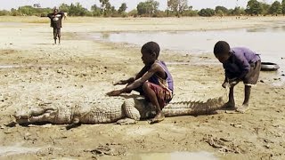 Classe nature au Burkina Faso  ZAPPING SAUVAGE [upl. by Lyall]