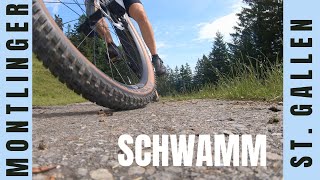 2024 MTB Montlinger Schwamm [upl. by Rheta999]