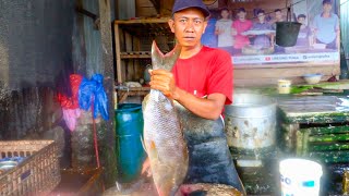 AMAZING SPECIALIST FISH BONELESS CUTTING SKILLS IN FISH MARKET ACEHNESE 2024🔪🔥 [upl. by Ho]