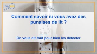 Tuto  Comment savoir si vous avez des punaises de lit [upl. by Llertnac674]