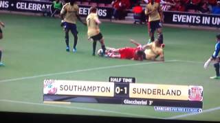 Southampton v Sunderland Highlights  240813 [upl. by Eiramana]