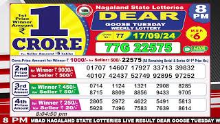 Dear Goose Tuesday Weekly Lottery 8pm Date Of Draw 17092024 [upl. by Zwick]