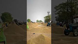 Khare wali mandi ch chona farming punjabi agriculture hiphop farmer [upl. by Aneetak]