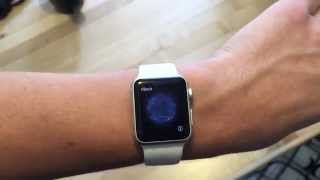 Apple Watch 38MM White Unboxing And Quick Look [upl. by Lenoel]