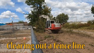 Clearing Trees For A New Fence [upl. by Phippen]