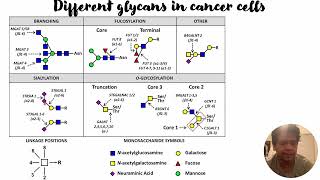 Glycosyltransferase glycans and cancer cells 416 [upl. by Nawuq36]