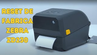 Como fazer o Reset de Fábrica da impressora Zebra ZD220230  RESTAURAÇÃO DE PADRÕES DE FABRICA [upl. by Leontine]