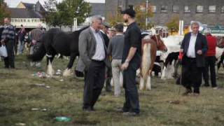 Ballinasloe Horse Fair  RTÉ Republic of Telly [upl. by Llemart275]