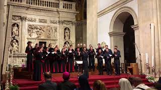 Gaudeamus Choir Brno  Ola Gjeilo Northern Lights [upl. by Mcnally]