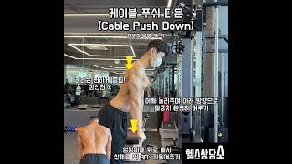 케이블 푸쉬 다운 Cable Push Down 영상 20초 핵심 포인트 [upl. by Lebna]