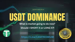 USDT Dominance Analysis Update Is a Crypto Correction Coming Or is There Still Room for Profits 📊 [upl. by Lempres192]