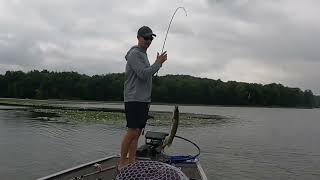 Yellow Creek Summertime Bass Fishing and Pike [upl. by Etteloiv]