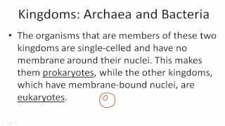 Kingdoms Archaea and Bacteria [upl. by Rabiah]