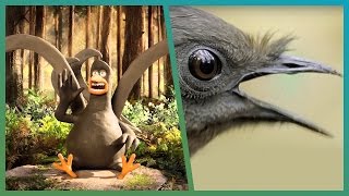 Lyrebird Meets Attenborough ft Aardman Animations Attenborough90  BBC Earth Unplugged [upl. by Aicileb]