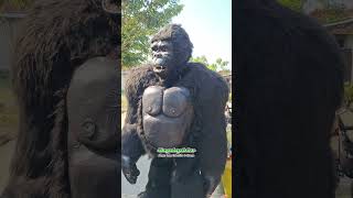 King kong gorilla sereeeem yaa [upl. by Kablesh]