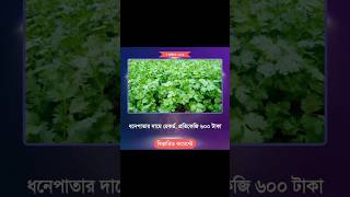 ধনে পাতা আর খাবো না trendingnews virulnews foryou [upl. by Greenwood624]