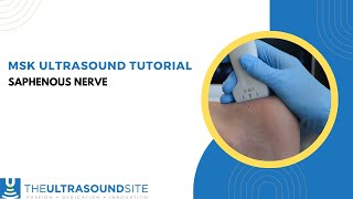 Ultrasound identification of the saphenous nerve on the lower leg [upl. by Seto]