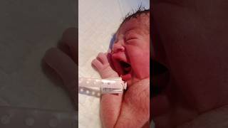 Most cute babies cry viralvideo shortvideo [upl. by Egag]