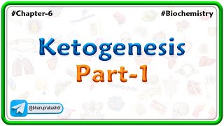 12 Ketogenesis  part  1  Lipid Metabolism [upl. by Airdnaid]