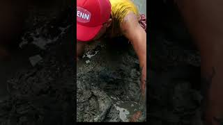 Great Crab CatcherFinding Mud Crab Holes anakkampoong crab fishing [upl. by Brittnee7]