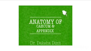 ANATOMY OF CAECUM amp APPENDIX [upl. by Amasa]