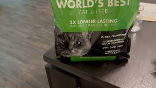 WORLDS BEST CAT LITTER Original Unscented 15 Pounds [upl. by Xuaegram]