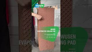 Stay Cool with Evaporative Cooling Pads from WUSEN [upl. by Weed]