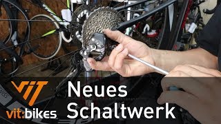 Wie erneuere ich mein Schaltwerk  vitbikesTV 162 [upl. by Brandice378]