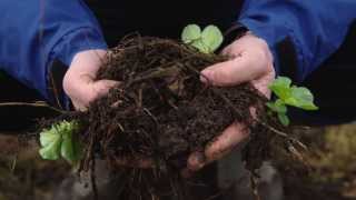 An introduction to Soil Security [upl. by Aelahs]