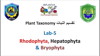 Section 5 Plant Taxonomy  Rhodophyta Hepatophyta amp Bryophyta [upl. by Lankton]