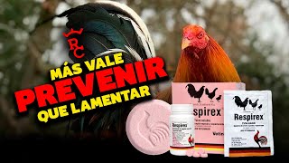 El mejor preventivo para enfermedades respiratorias RESPIREX [upl. by Ulund488]