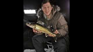 Ice fishing for walleye Bay of Quinte  Huffs Point [upl. by Lasiaf]